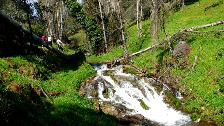 Lee más sobre el artículo Sendero Aracena – Fuenteheridos