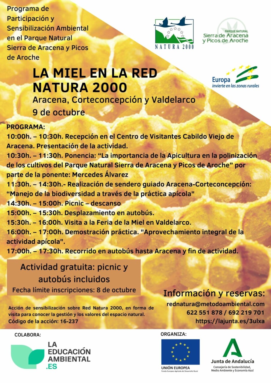 Lee más sobre el artículo Actividad gratuita: la miel en el Parque Natural Sierra de Aracena y Picos de Aroche.