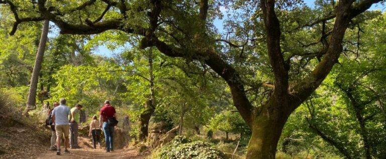 Lee más sobre el artículo Tres períodicos europeos conocen la Sierra de Aracena y Picos de Aroche.