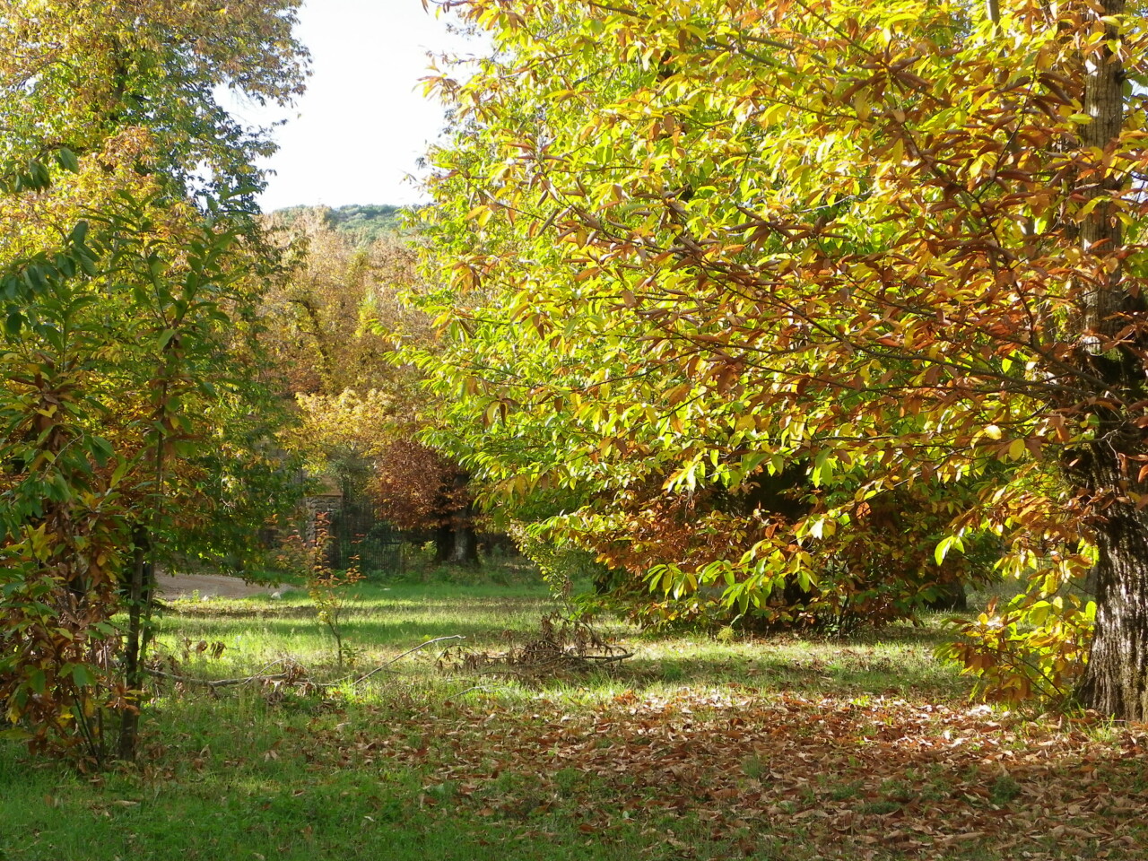 Lee más sobre el artículo Programación de Ecoturismo Noviembre (LYNXAIA).