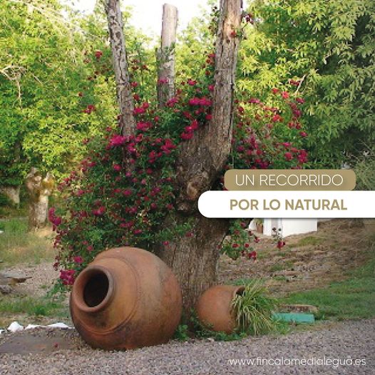 Lee más sobre el artículo Un recorrido por lo natural