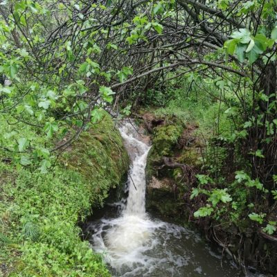 Arroyo Sierra de Aracena