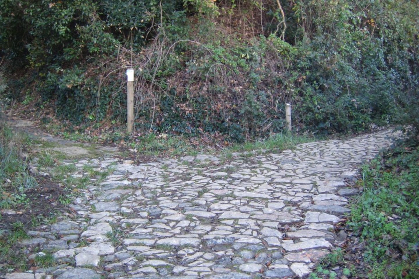 Sendero Ribera de Jagugo