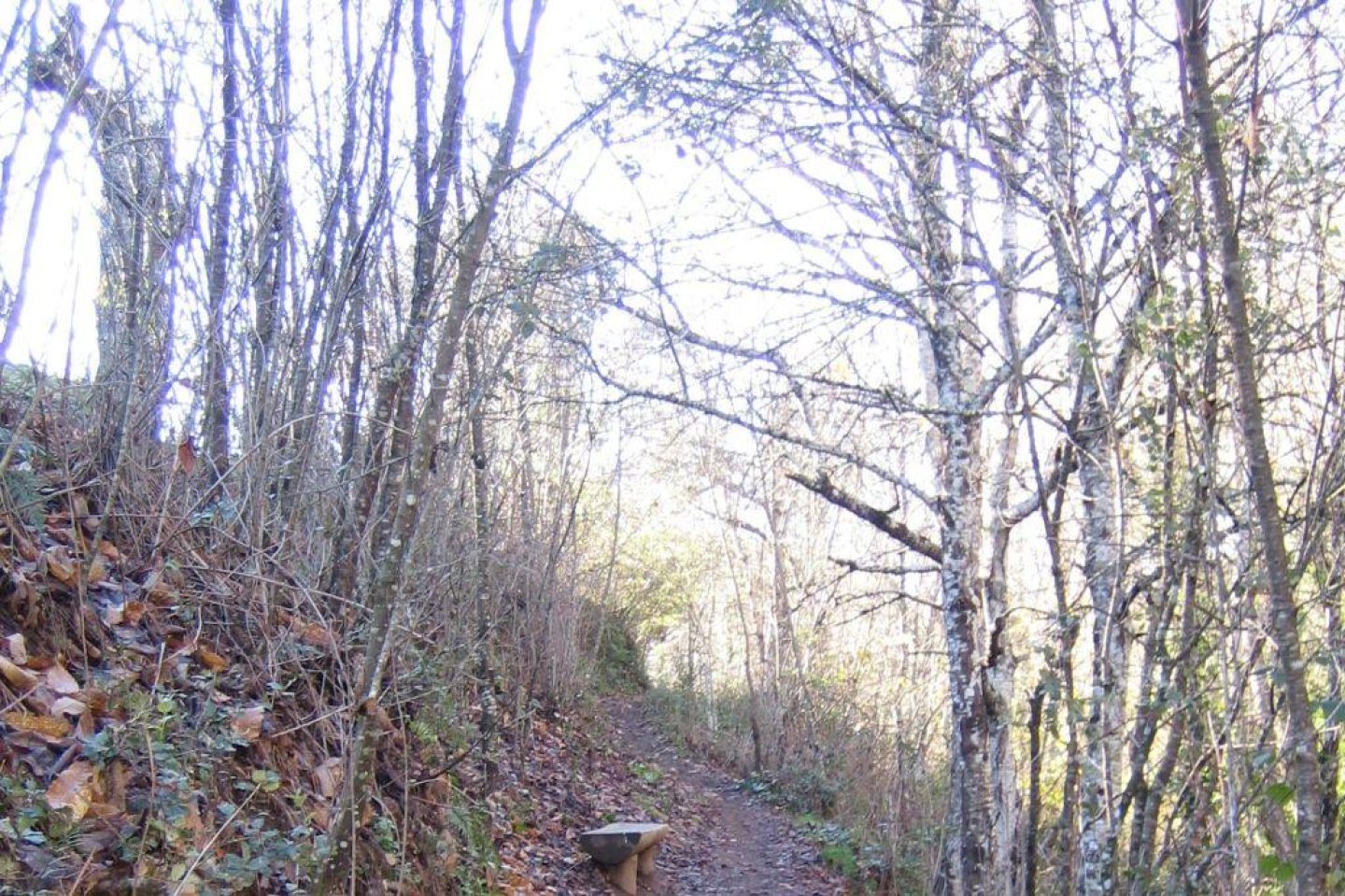 Foto Ribera de Jabugo