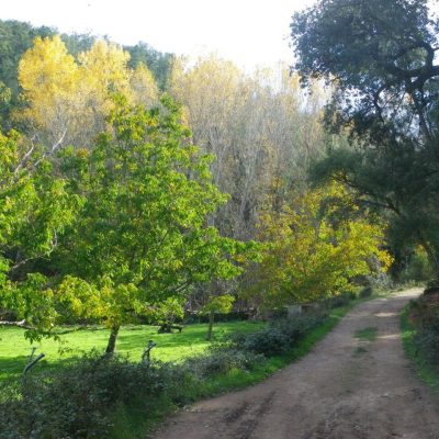 Senderos del Parque Natural Sierra de Aracena