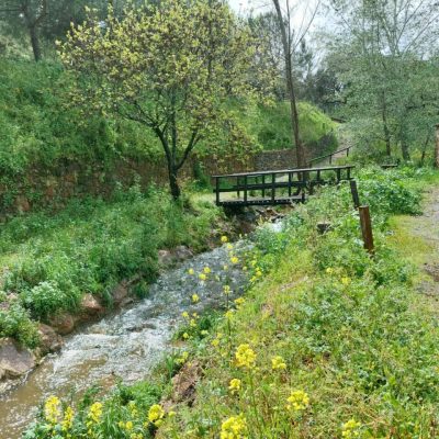 Senderos sierra de Aracena