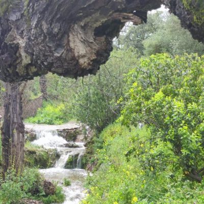 Vistas arroyo Sierra de Aracena2